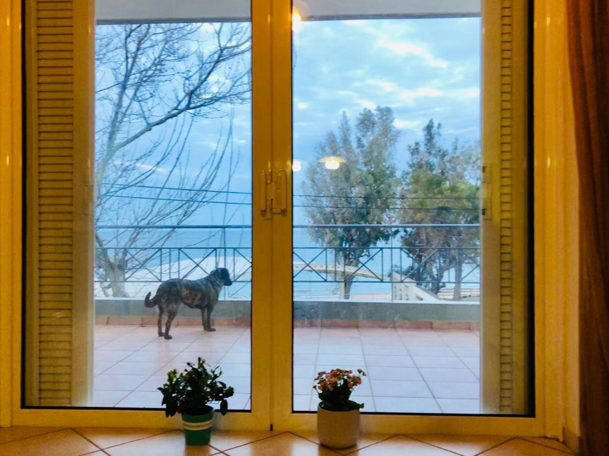 Chloe'S Sunrise Beach House Villa Athena Bagian luar foto